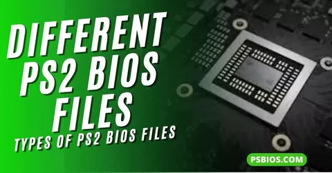 ps2 bios file